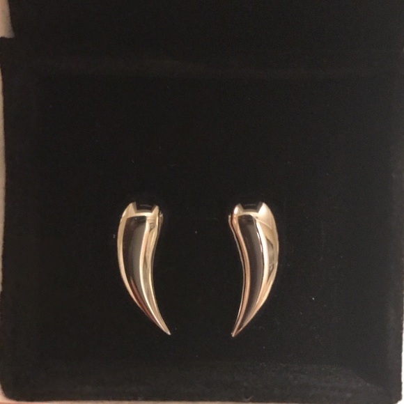 Silver Horn Earrings