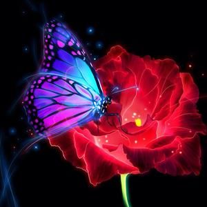 Meet your Posher, Glejdis