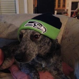 Meet your Posher, Jackie