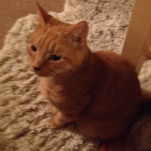 Meet your Posher, Chi liu