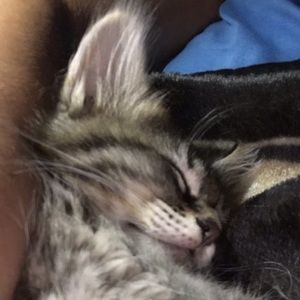 Meet your Posher, Mandy