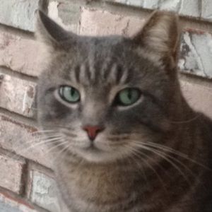 Meet your Posher, Mitch