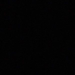 Meet your Posher, Danhia