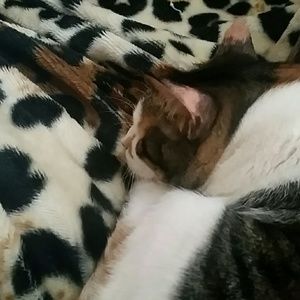 Meet your Posher, Tania