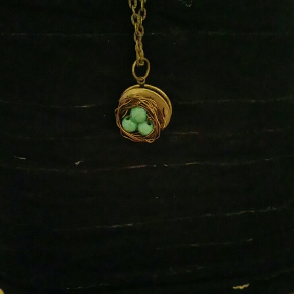 Adorable bird nest necklace.