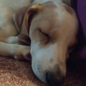 Meet your Posher, Cherie