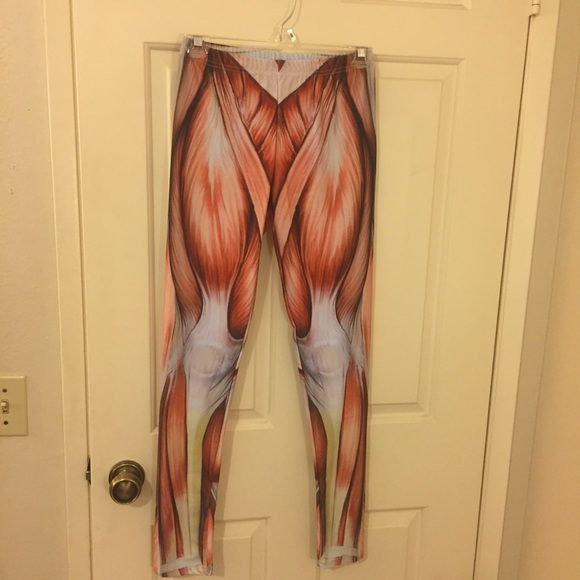Anatomical Muscle Leggings!