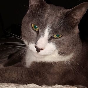 Meet your Posher, Christine