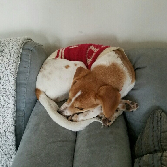 Meet your Posher, D - Picture 1 of 1