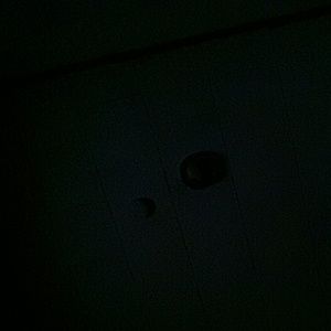 Meet your Posher, Hailey