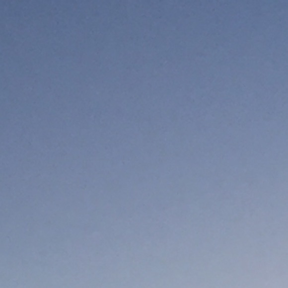 Meet your Posher, Veronica - Picture 1 of 1