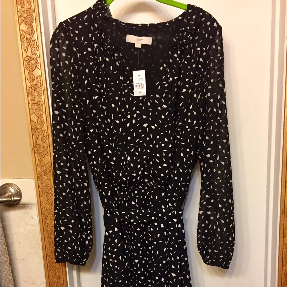 Ann Taylor LOFT black and beige long sleeve dress