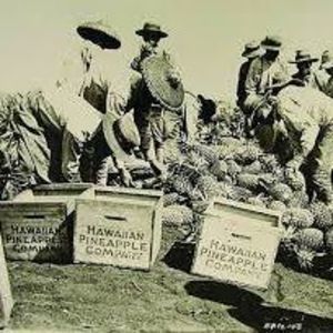 Meet your Posher, Gil