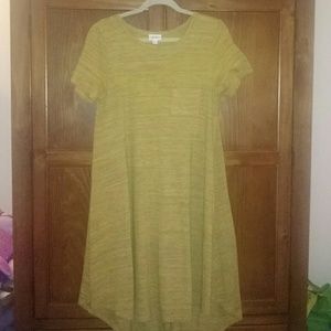 LulaRoe Carly dress