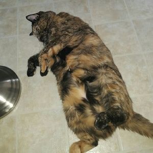 Meet your Posher, Marva