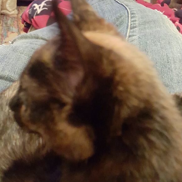 Meet your Posher, Debi