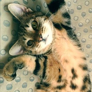 Meet your Posher, Lynn