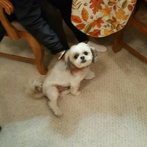 Meet your Posher, Kathy