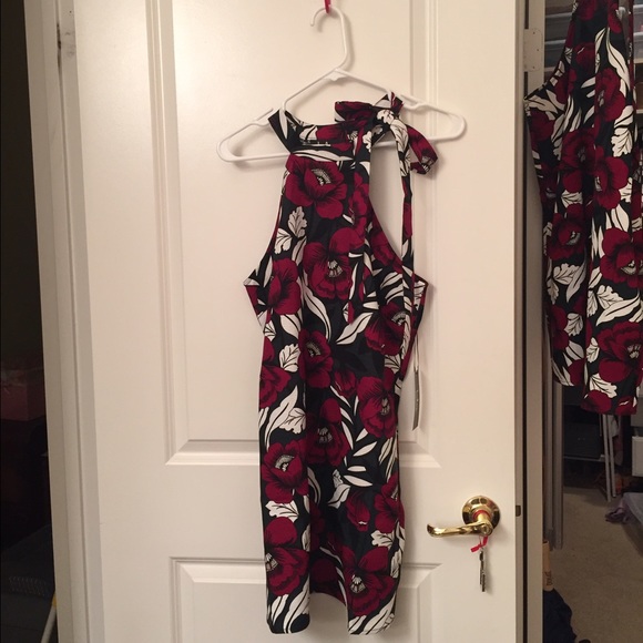 Lulu's brand new dress