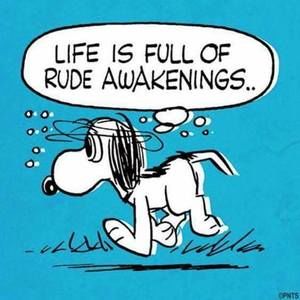 Meet your Posher, Bettyann