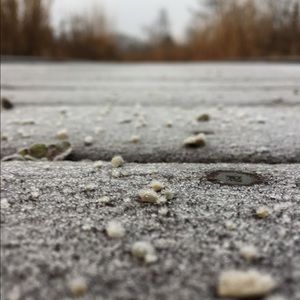 Meet your Posher, Lila