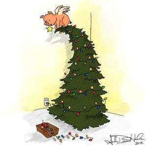 Meet your Posher, Amber dawn