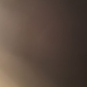 Meet your Posher, Zoey