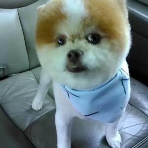 Meet your Posher, Yvette