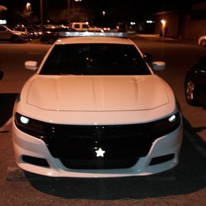 Meet your Posher, Zachary