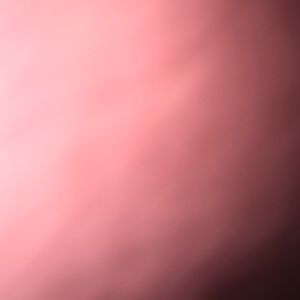 Meet your Posher, Perla