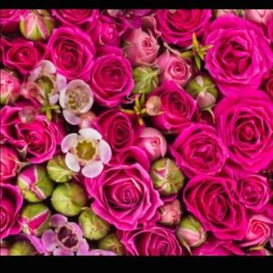 Meet your Posher, Cecilia