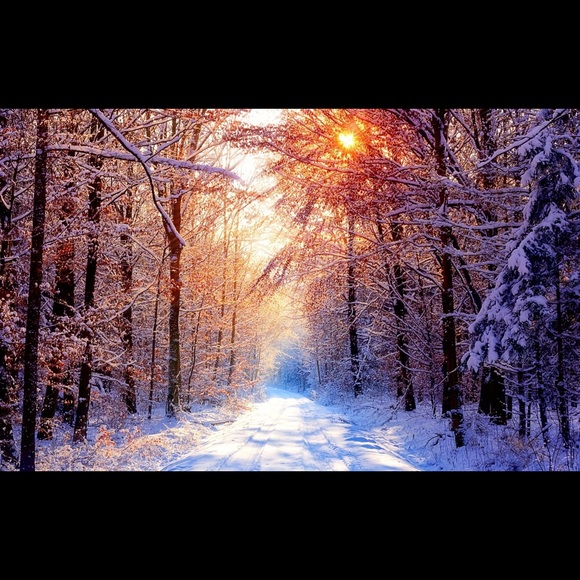 Meet your Posher, Jenna - Picture 1 of 1