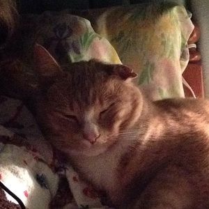 Meet your Posher, Barbara