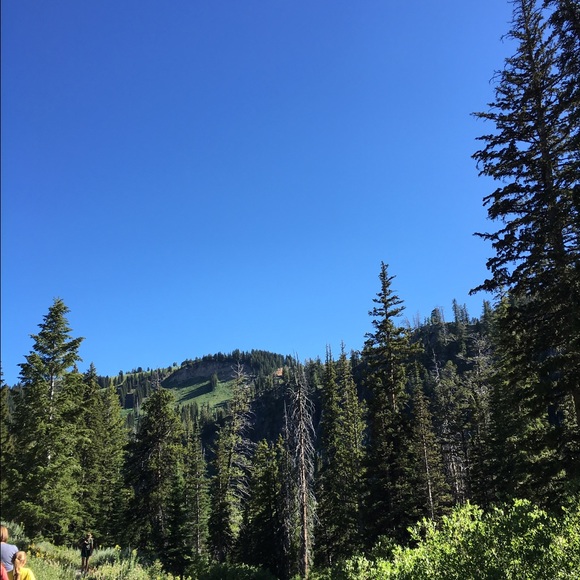 Meet your Posher, Gabby