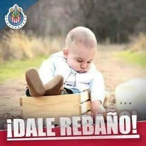 Meet your Posher, Alan