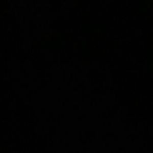 Meet your Posher, Freddy