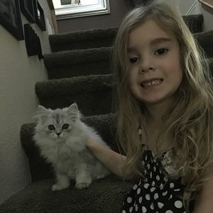 Meet your Posher, Tara