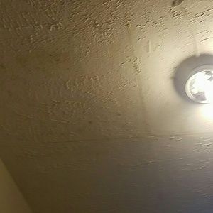 Meet your Posher, Will