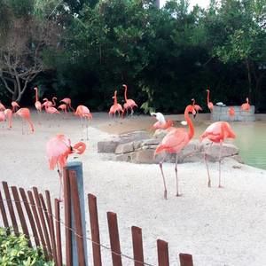 Meet your Posher, Mee