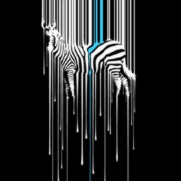 Meet your Posher, Renée - Picture 1 of 1