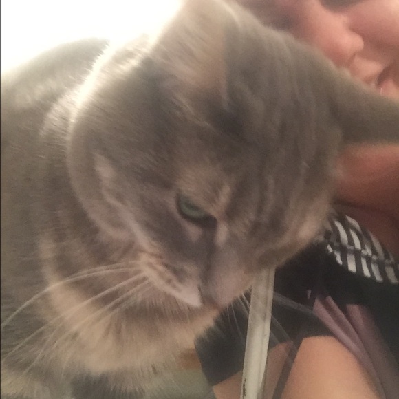 💕Meet your Posher, Souley💕 - Picture 2 of 2