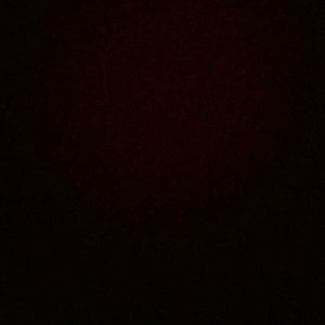 Meet your Posher, Nikema