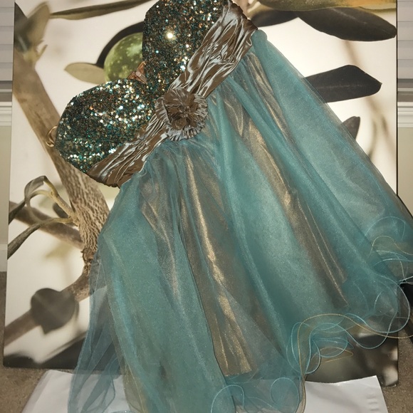 Fun pretty fancy dress ! - Picture 2 of 2