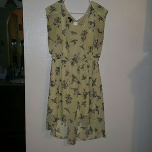 Beautiful Fully Lined Sheer Overlay Dress.