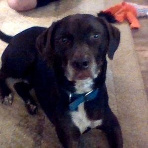 Meet your Posher, Kathrine