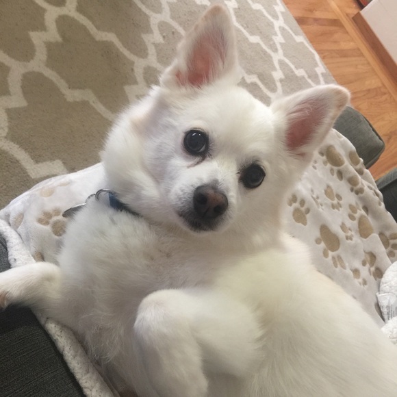 💕✨Meet your Posher, A! Seller and Shopper💕✨ - Picture 7 of 8