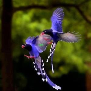 Meet your Posher, Margo