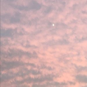 Meet your Posher, Lina