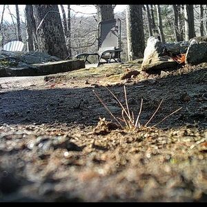 Meet your Posher, Ben