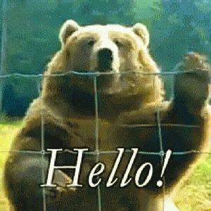 Meet your Posher, Hernan